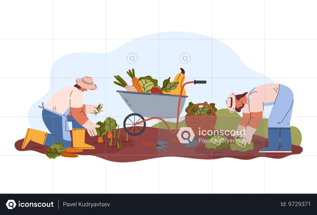 Smiling young woman in hats and gloves harvesting carrots and cabbages  Illustration