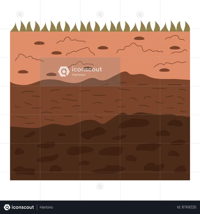 Soil layers  Illustration