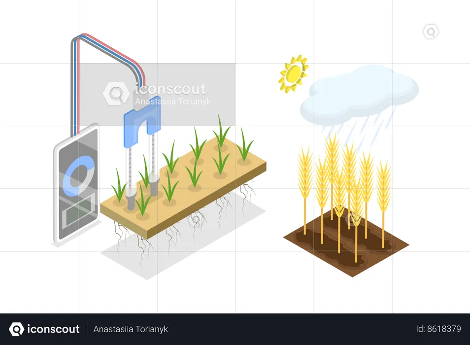Soil Moisture Sensor  Illustration