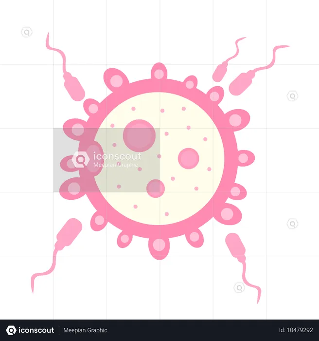 Spermatozoïde s'approchant d'un ovule pour la fécondation  Illustration