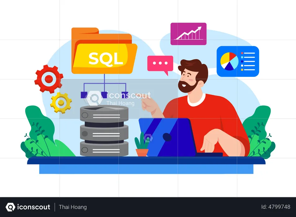 SQL Developer  Illustration