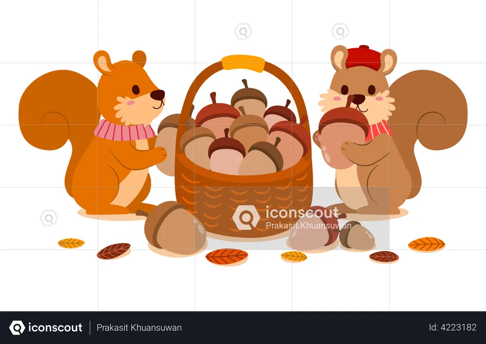 Squirrels collecting acorns into a basket  Illustration