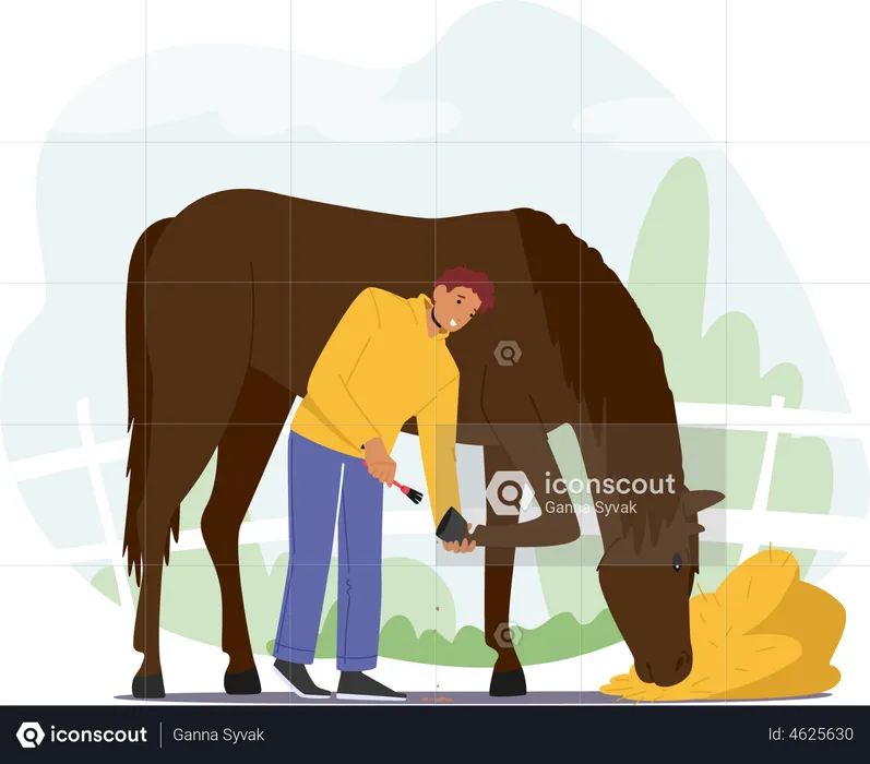 Stableman Male Care of Horse Cleaning Hooves with Brush  Illustration