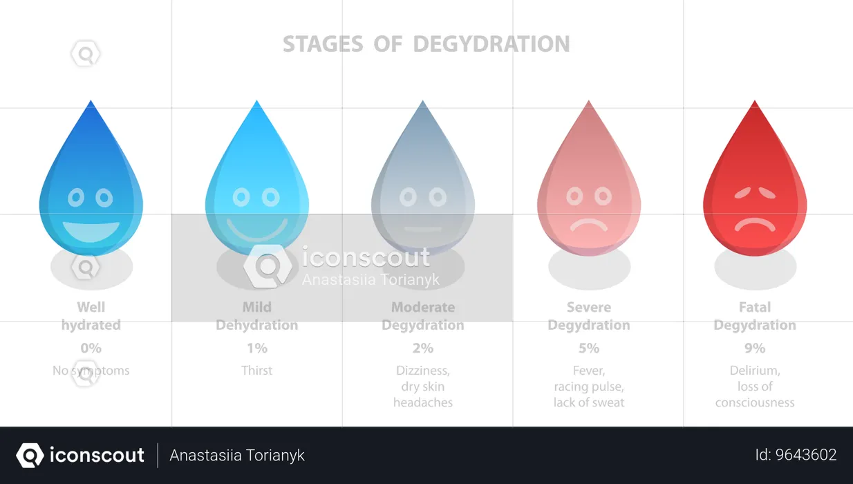 Stages Of Degydration  Illustration
