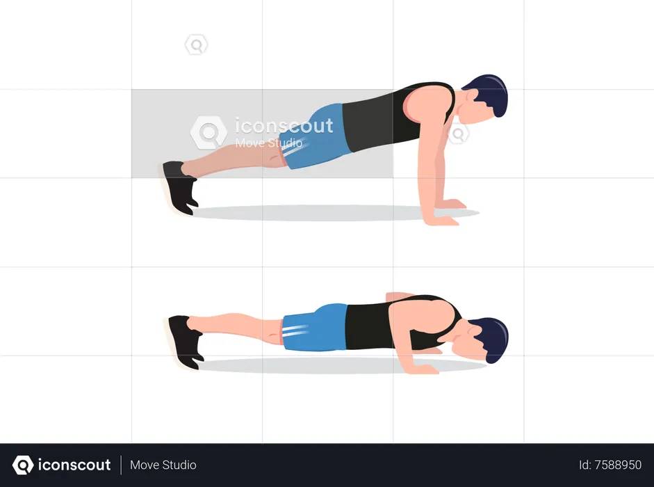 Standard push-up  Illustration