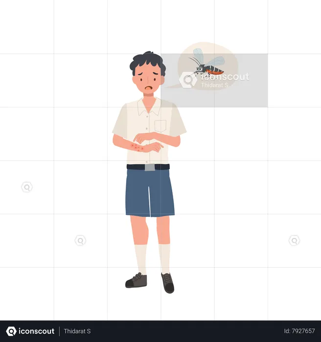 Student boy with Mosquito Bites Scratching Itchy Skin in Summertime  Illustration