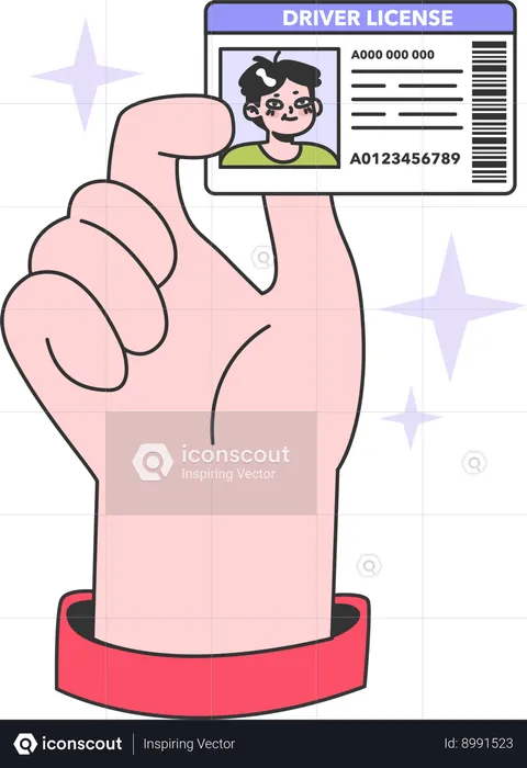 Student is holding his driving license  Illustration
