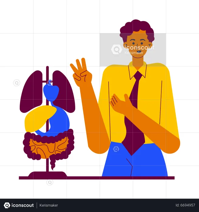 Study the organs of the human body  Illustration