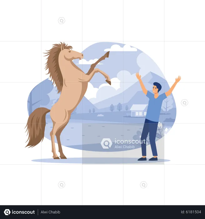 Stunt horse  Illustration