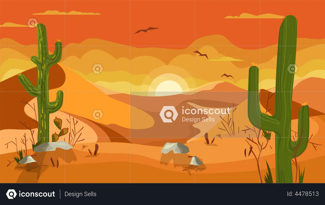 Sunset in desert  Illustration