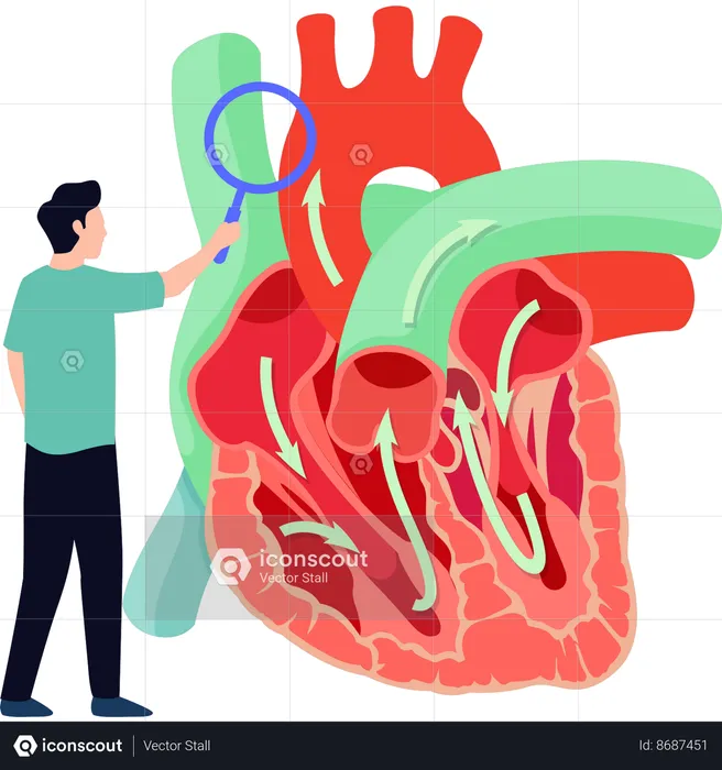 Surgeon explains about heart disease  Illustration