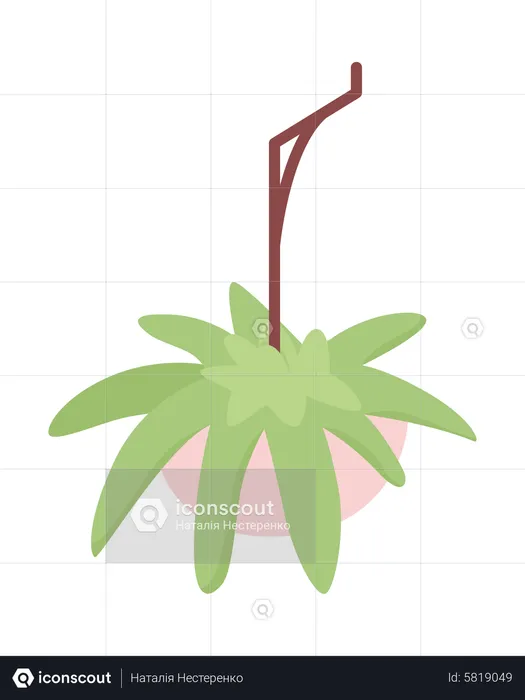 Suspended Potted Plant  Illustration