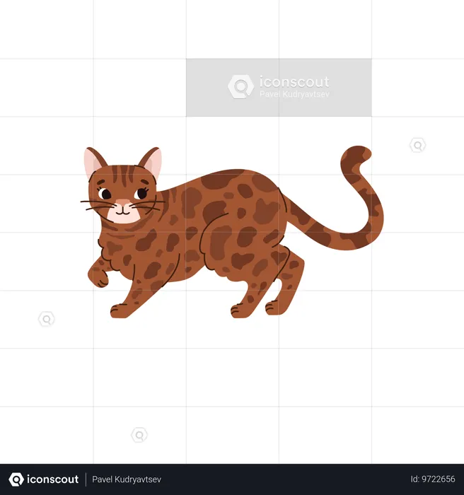 Süße Bengalkatze beim Spazierengehen  Illustration