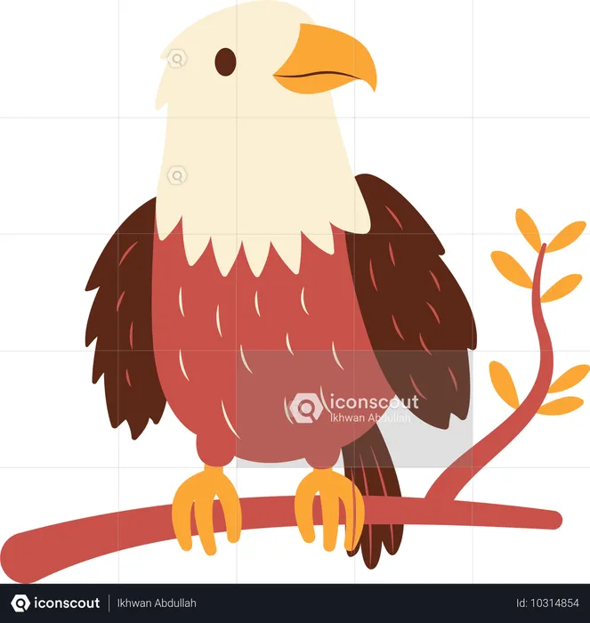 Süßer Weißkopfseeadler  Illustration