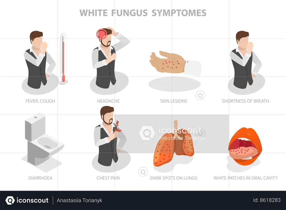 Champignon blanc, symptômes de la maladie  Illustration