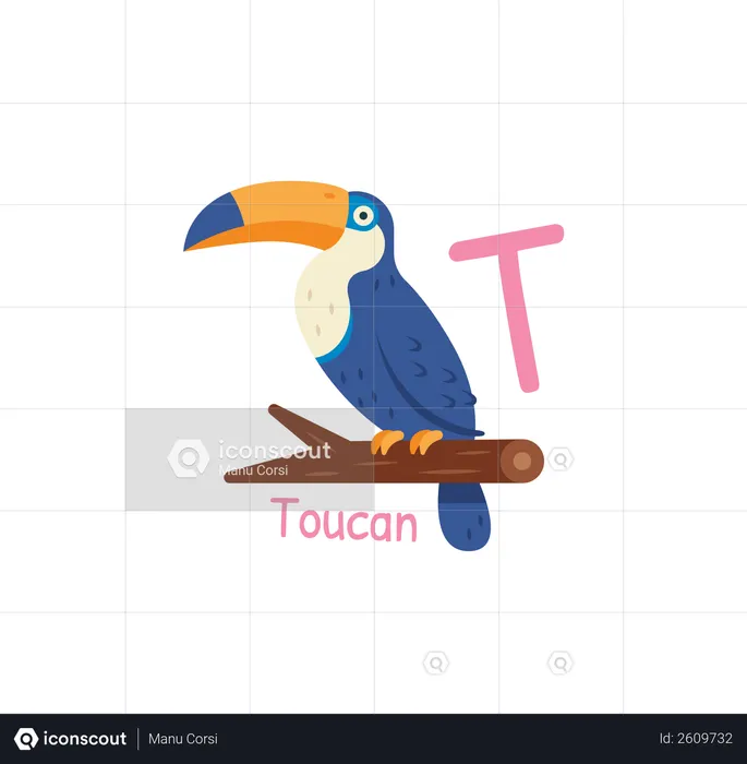 T for Toucan  Illustration
