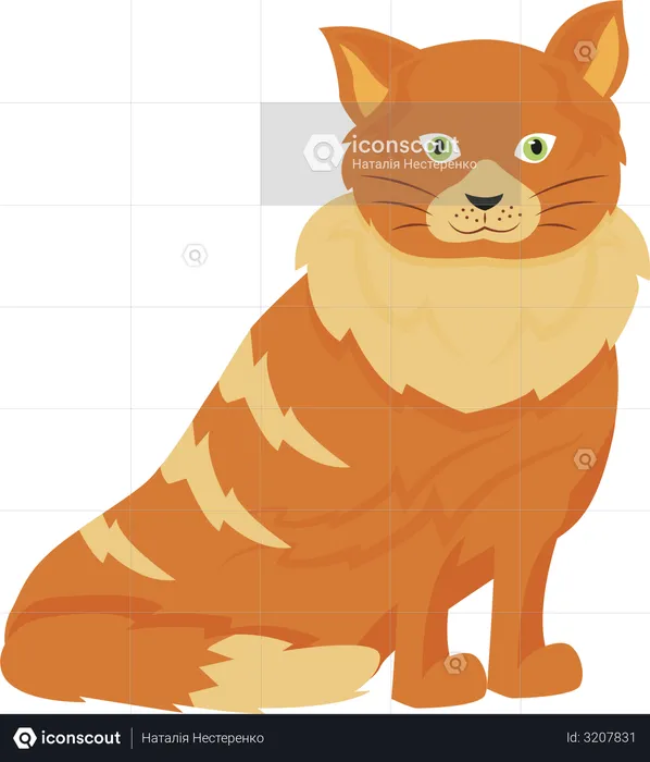 Tabby cat  Illustration