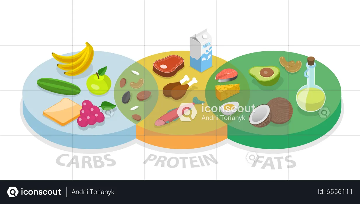 Tableau des macronutriments, régimes amaigrissants, soins de santé et eutrophie  Illustration