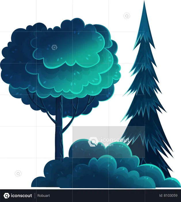 Tall deciduous and coniferous trees  Illustration