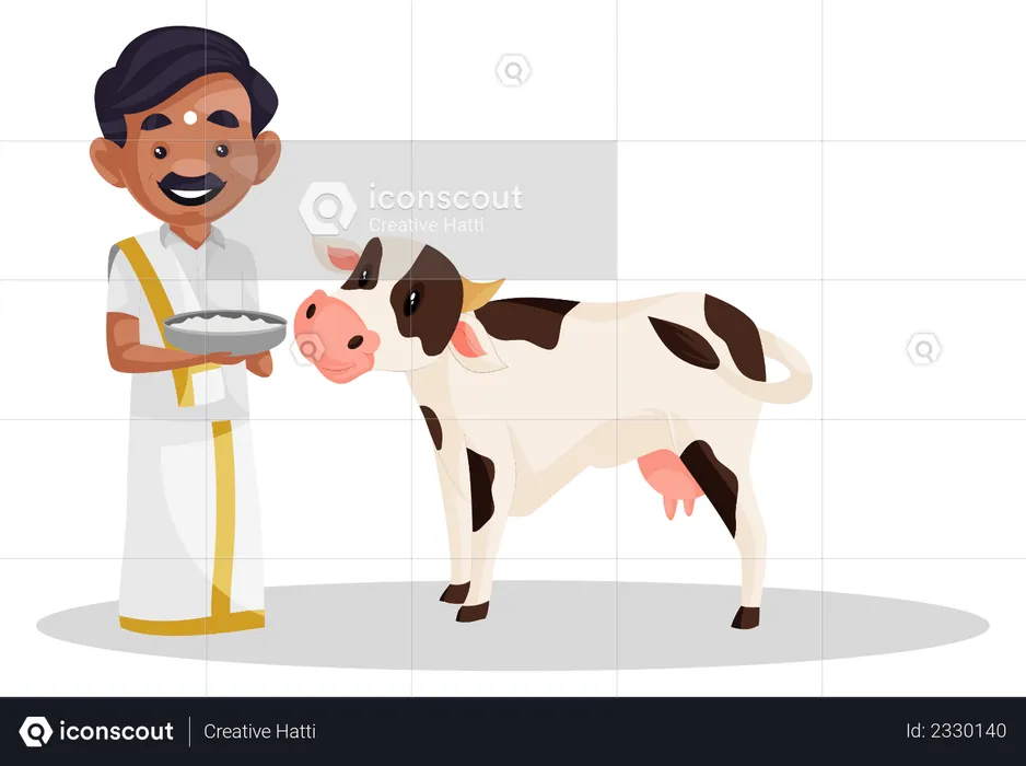 Tamil man offering rice to cow  Illustration