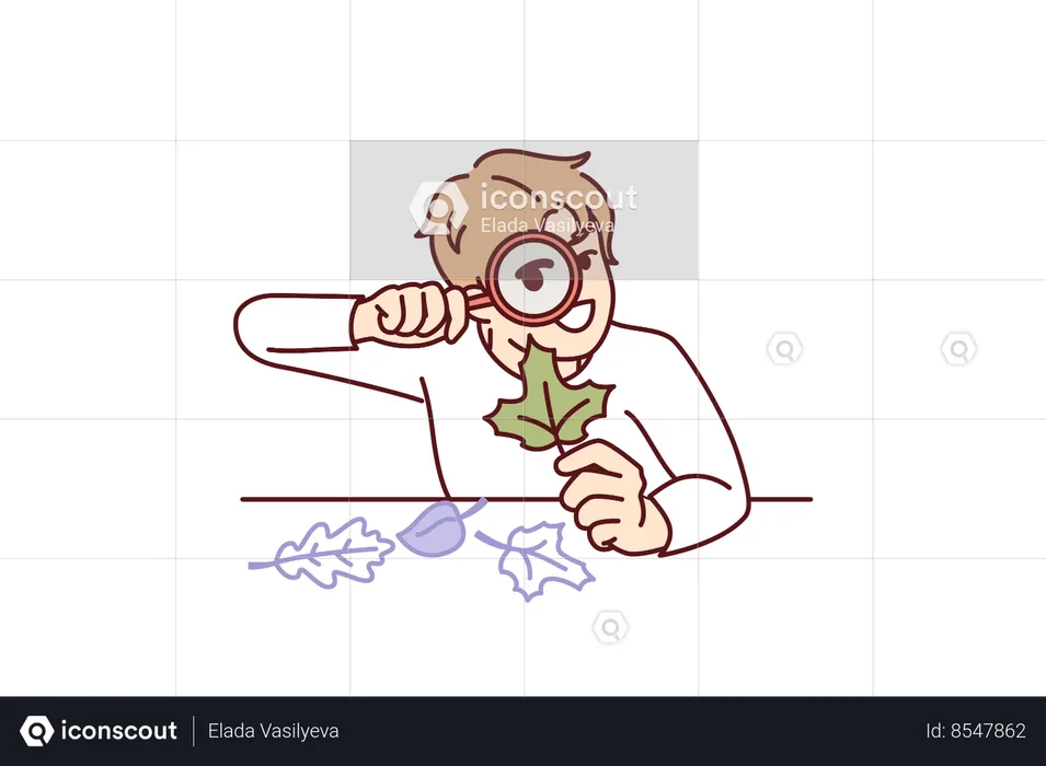 Teenager boy with magnifying glass examines leaf from tree, studying plants doing homework  Illustration
