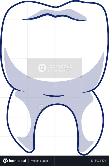 Teeth  Illustration