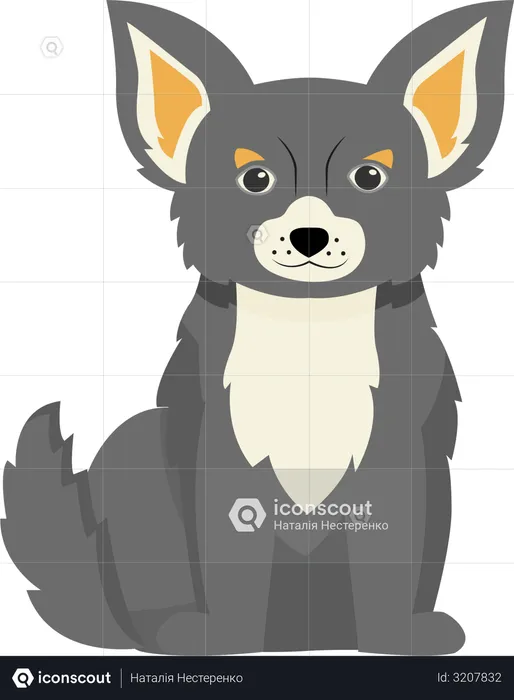 Terrier gris  Illustration