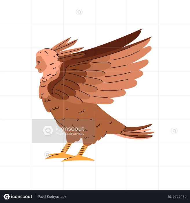 Tête de femme et corps d'oiseau  Illustration