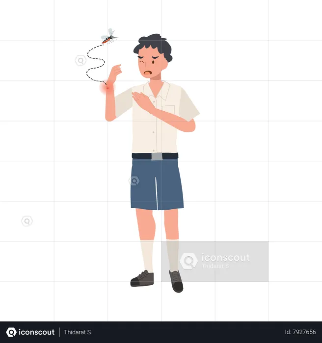 Thai student boy with Mosquito Bites Scratching Itchy Skin in Summertime  Illustration