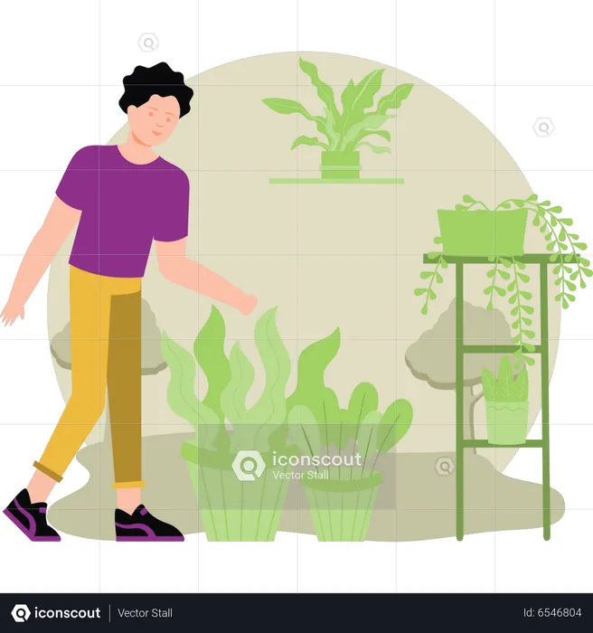 The boy is taking care of the plants  Illustration