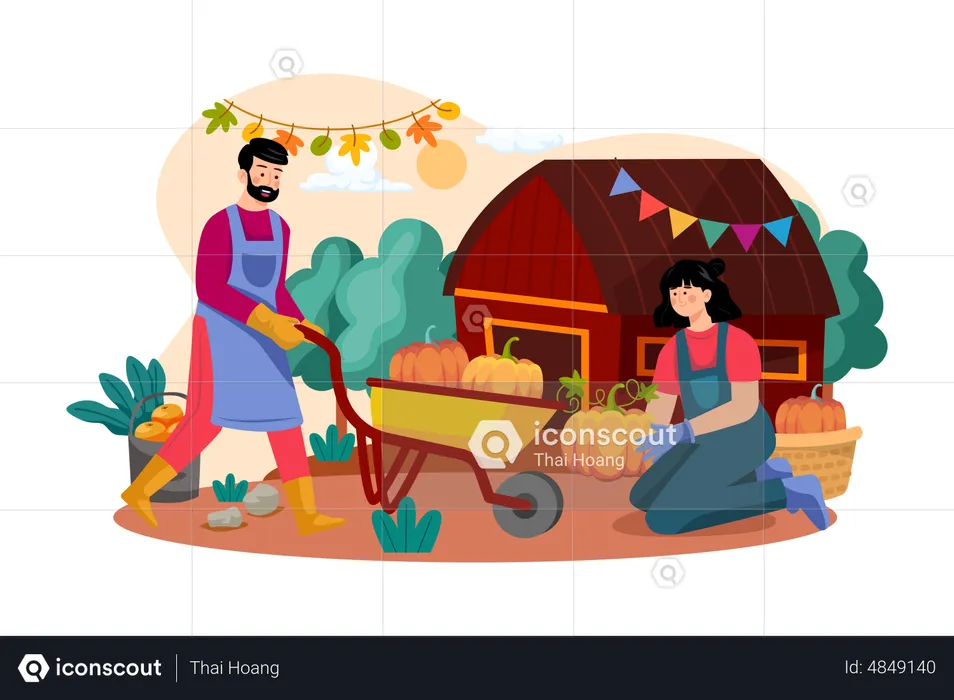 The Couple Is Preparing Pumpkins For Thanksgiving Day  Illustration
