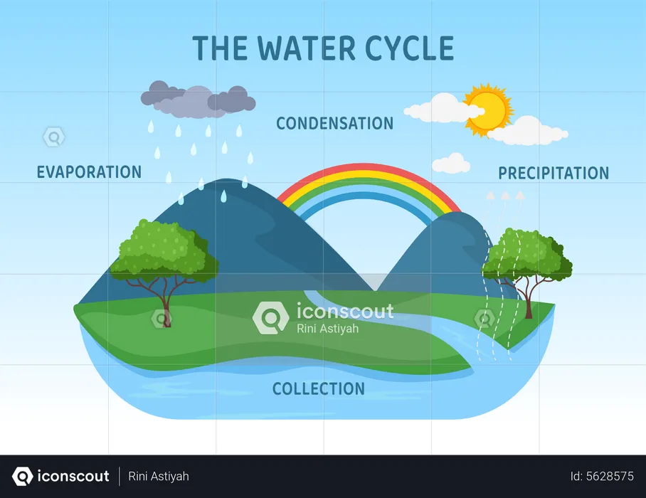 The earth water cycle  Illustration