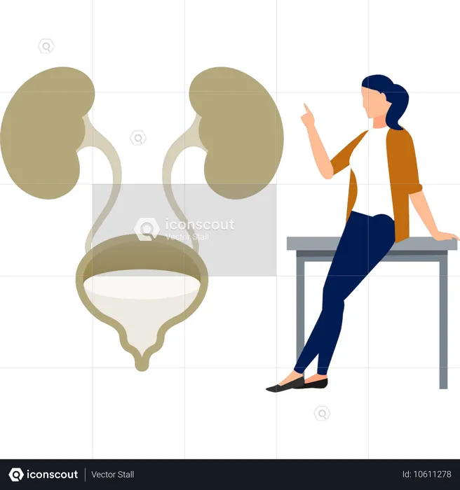 The girl is sitting on table and looking human urology  Illustration