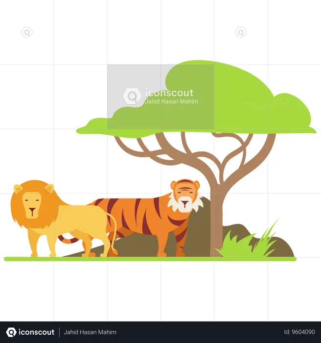 Tiger And Lion at zoo  Illustration