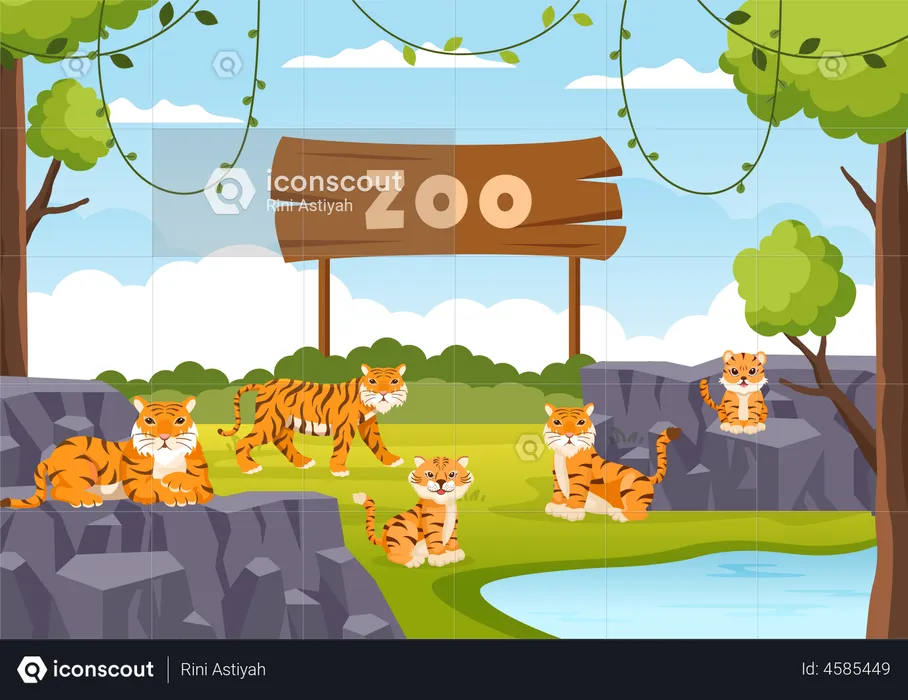 Tiger im Zoo  Illustration