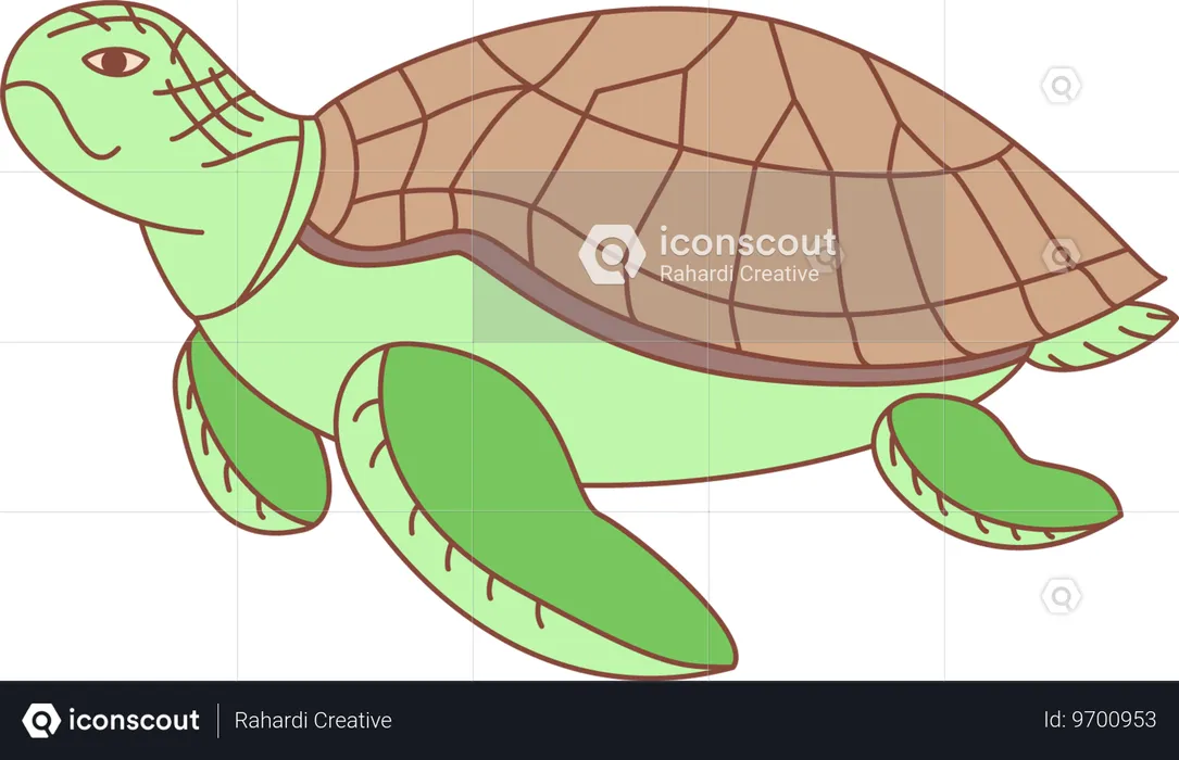 Tortuga  Ilustración