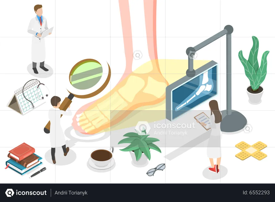 Treatment of Disorders of the Foot, Ankle, and Lower Extremity  Illustration