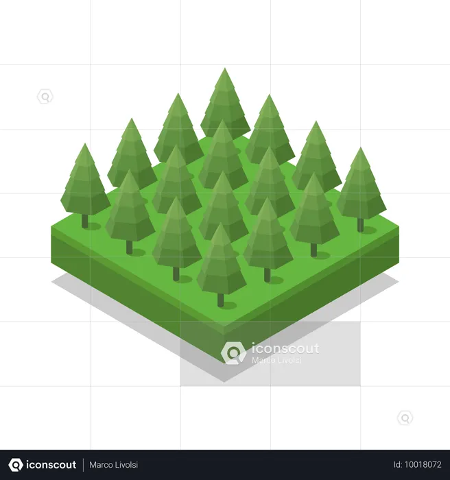 Tree  Illustration