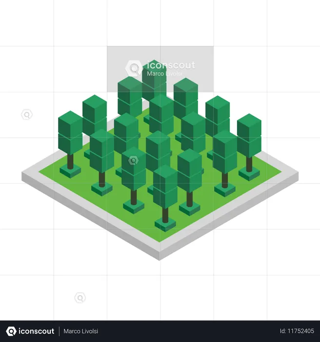 Tree  Illustration