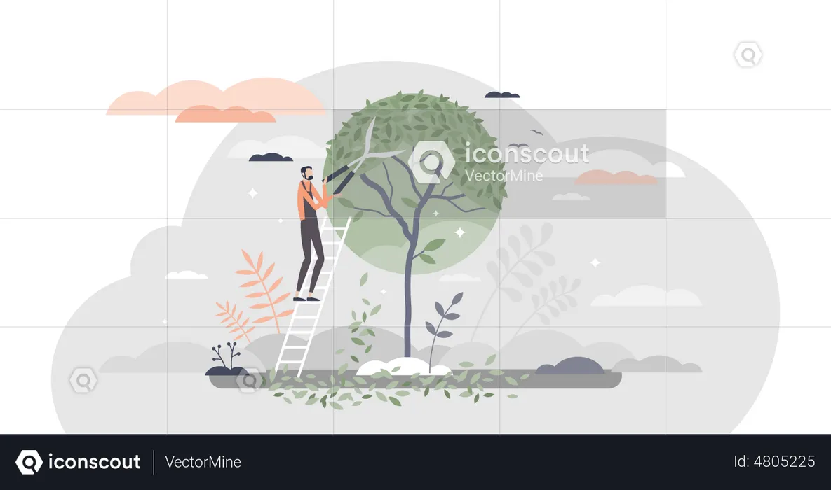 Tree pruning and gardening  Illustration