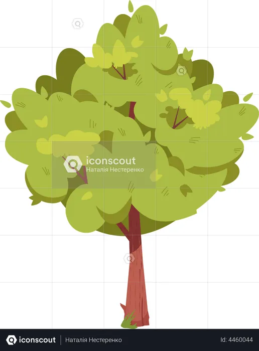 Tree with green leaves  Illustration