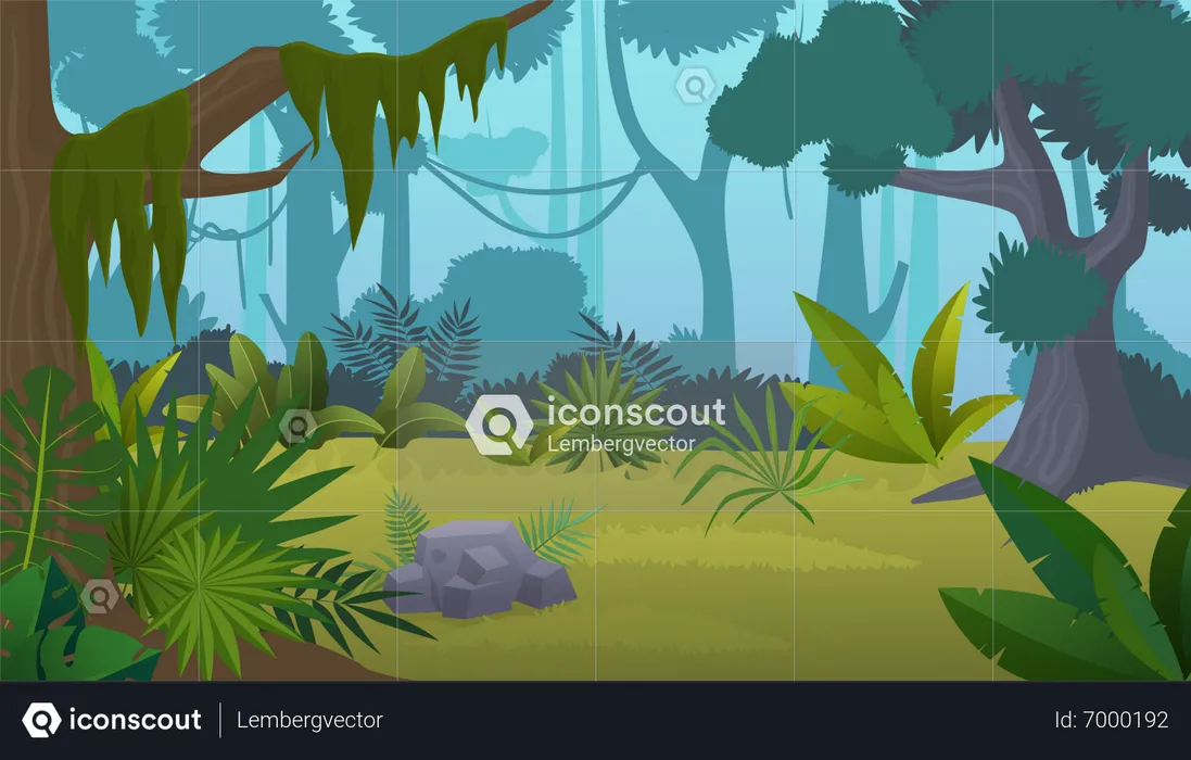 Tropical Forest  Illustration