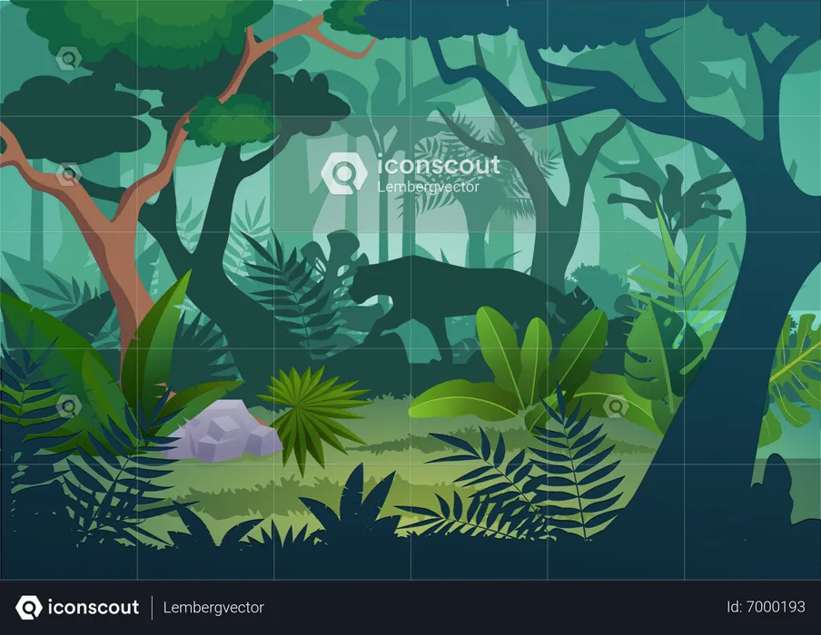 Tropical Forest  Illustration