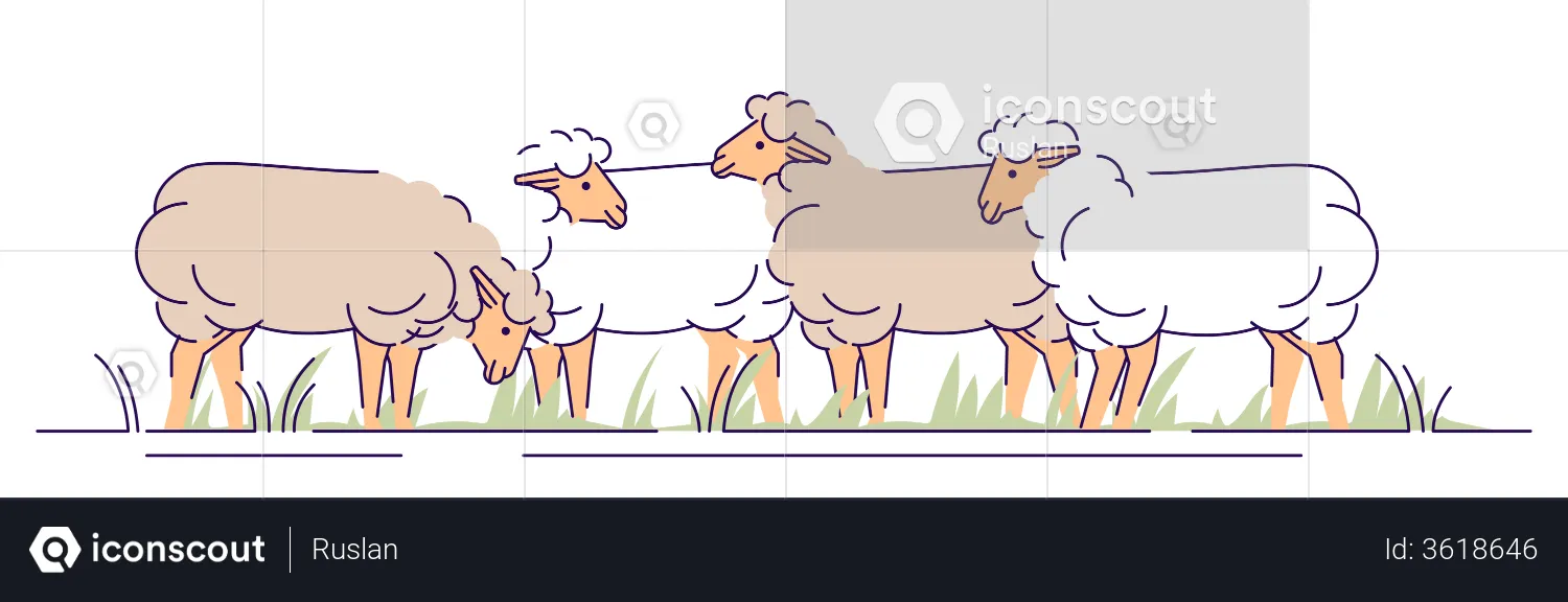 Troupeau de moutons au pâturage  Illustration