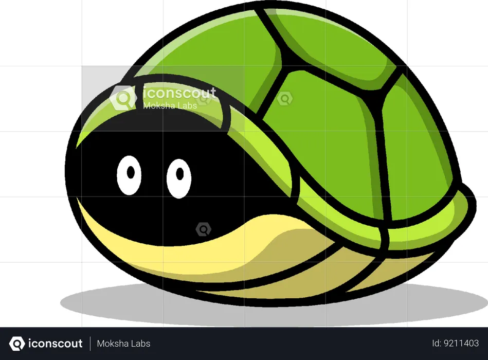 Turtle Hiding  Illustration