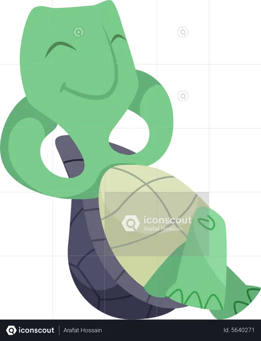 Turtle sleeping  Illustration