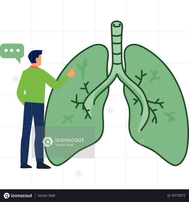 Un niño habla de la vena de los pulmones.  Ilustración