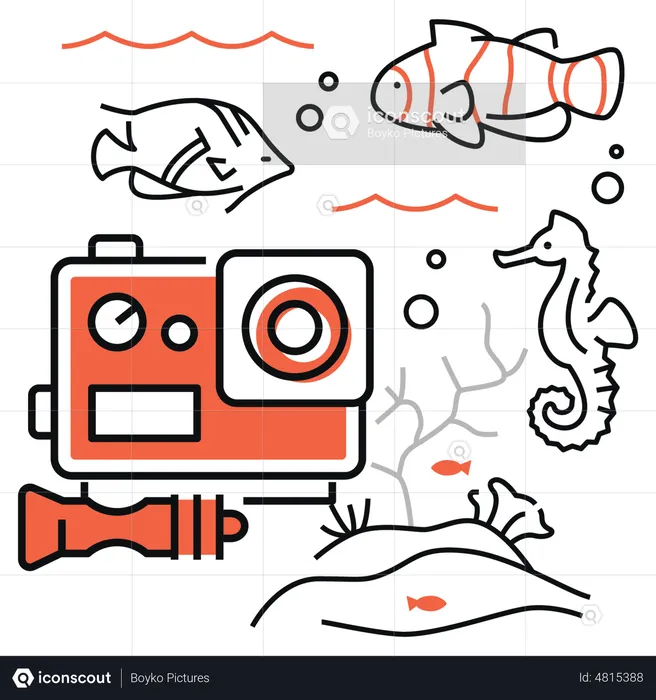 Underwater wildlife  Illustration
