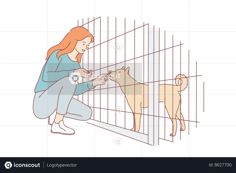 Une fille nourrit un chien au zoo  Illustration