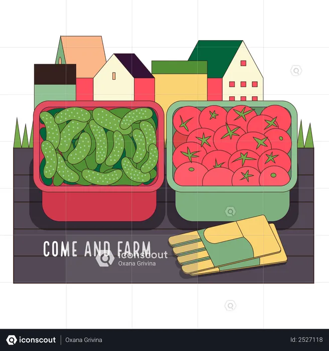 Urban farming and gardening - cucumbers and tomatoes  Illustration